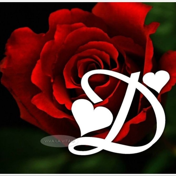 Meet your Posher, Danielle - Picture 1 of 1